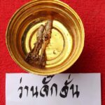 Paya Wan Jakkajan Cordyceps Cicada for Healing and Maha Lap Lucky Fortunes Magical Properties